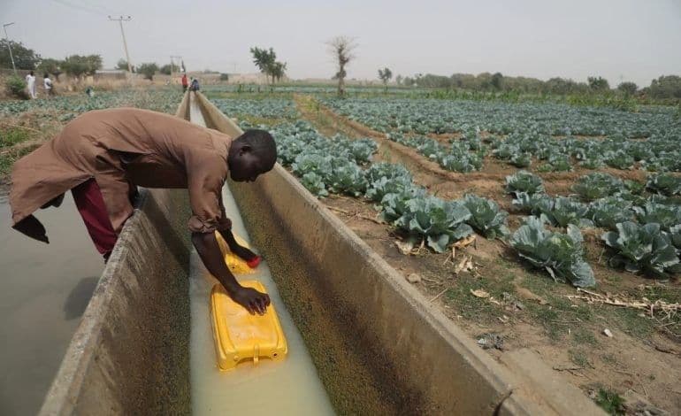 Programme de Production Maraîchère Durable